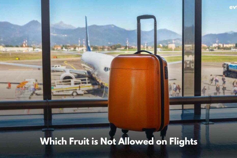 Which Fruit is Not Allowed on Flights