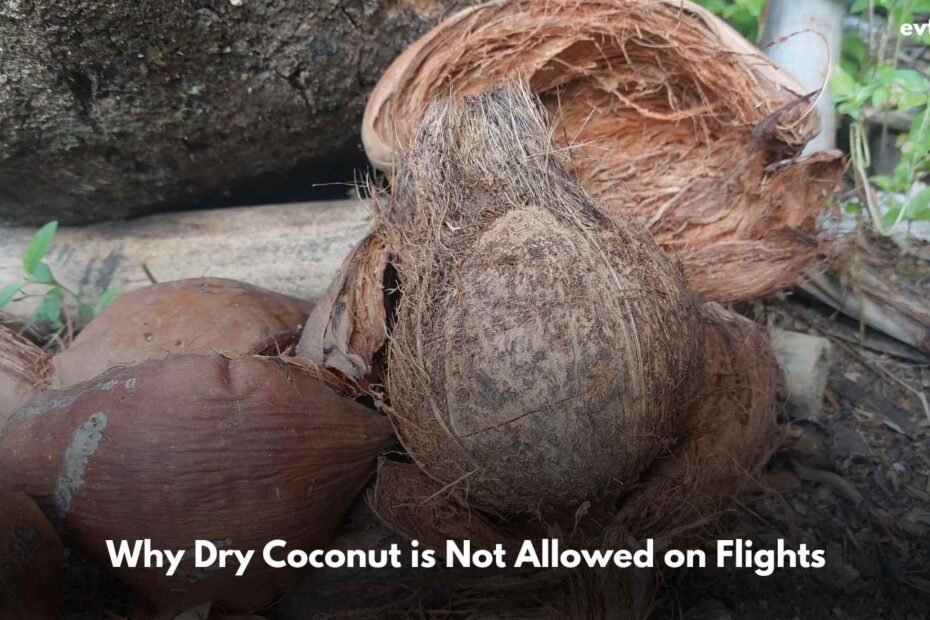Why Dry Coconut is Not Allowed on Flights