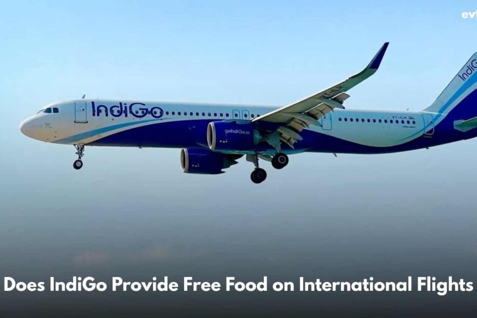 Does IndiGo Provide Free Food on International Flights