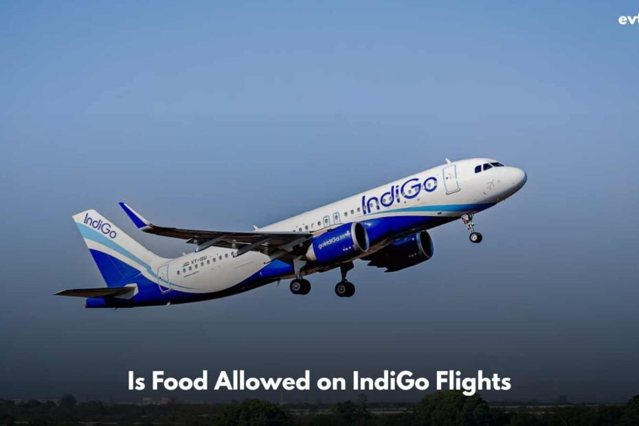 Is Food Allowed on IndiGo Flights