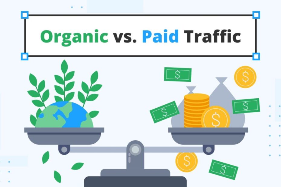 Comparison between organic traffic and paid traffic sources