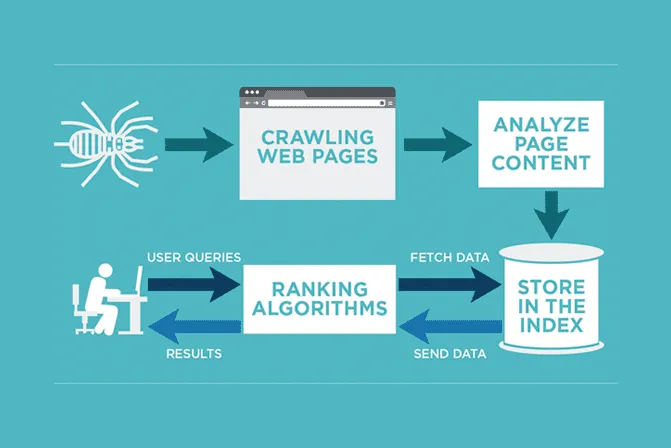 Search engine crawling, indexing, and ranking process explained
